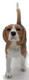 Dog - Beagle (CollectA)