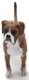 Dog - Boxer (CollectA)