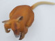 Kangaroo Male - Red (CollectA)