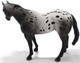 Appaloosa - Blue Roan (CollectA)