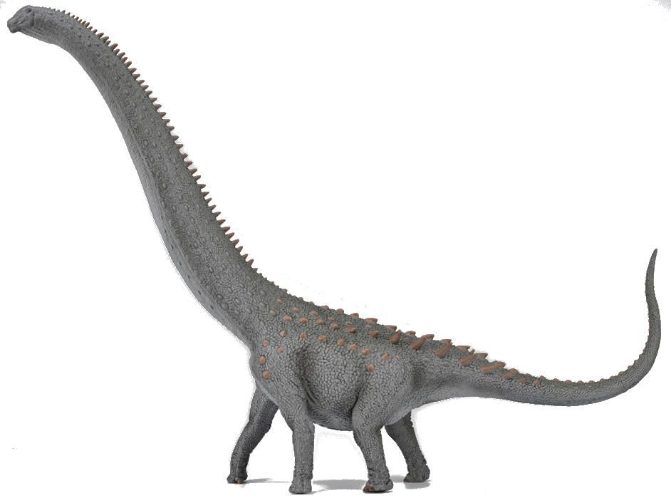 CollectA Ruyangosaurus Deluxe 1:100 #88971 A surprising find
