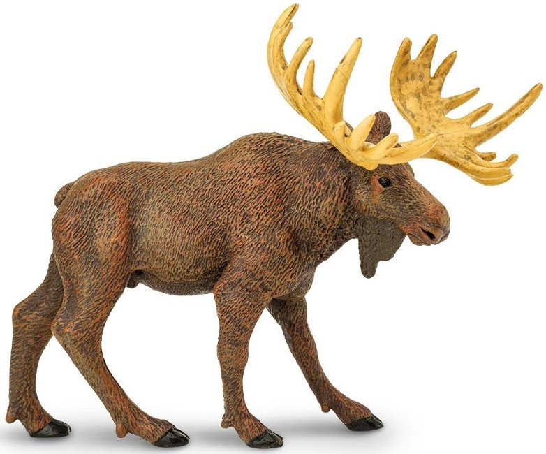 Bull Elch Nordamerikanische Wildtierfigur Safari Ltd Spielzeug Pädagogisch
