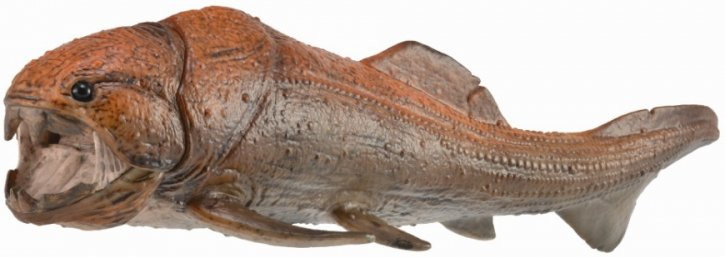 Collecta Set Regalo Preistoria: Dunkleosteus Deluxe, Figura Di Dinosauro In Scatola Finestra, Dimensioni 35x10x21 Cm, Per Collezionisti