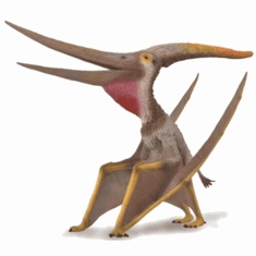 2022 Pteranodon Reviews
