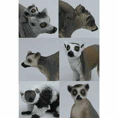 2022 Toy Lemur Reviews