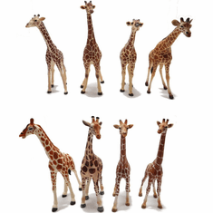 2023 Toy Giraffe Reviews