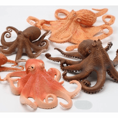 2023 Toy Octopus Reviews