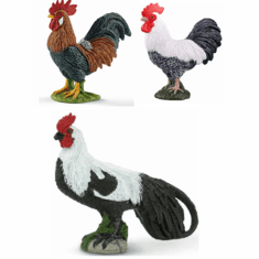 2023 Toy Rooster Reviews