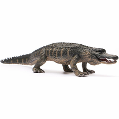 CollectA American Alligator #88609