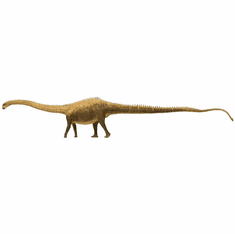 EoFauna Diplodocus #007