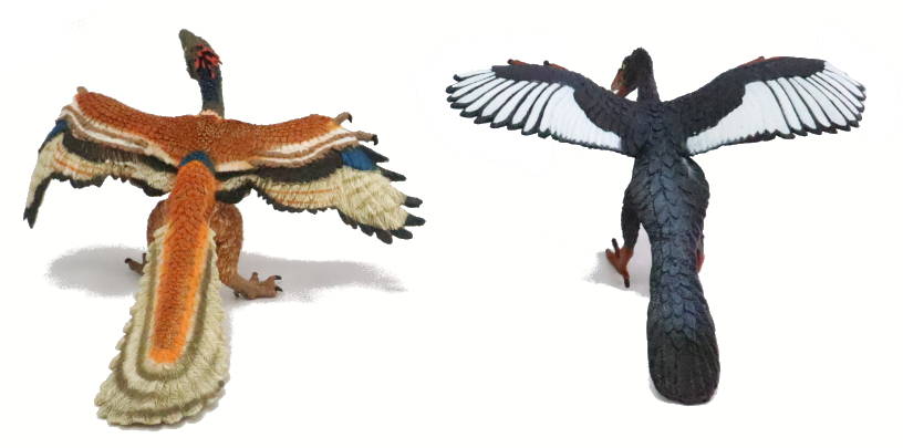 2023 Archaeopteryx Toy Buying Guide Backs Picture