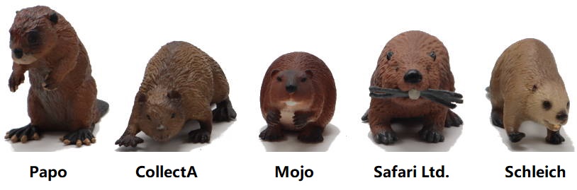 2023 Beaver Toy Buying Guide Fronts