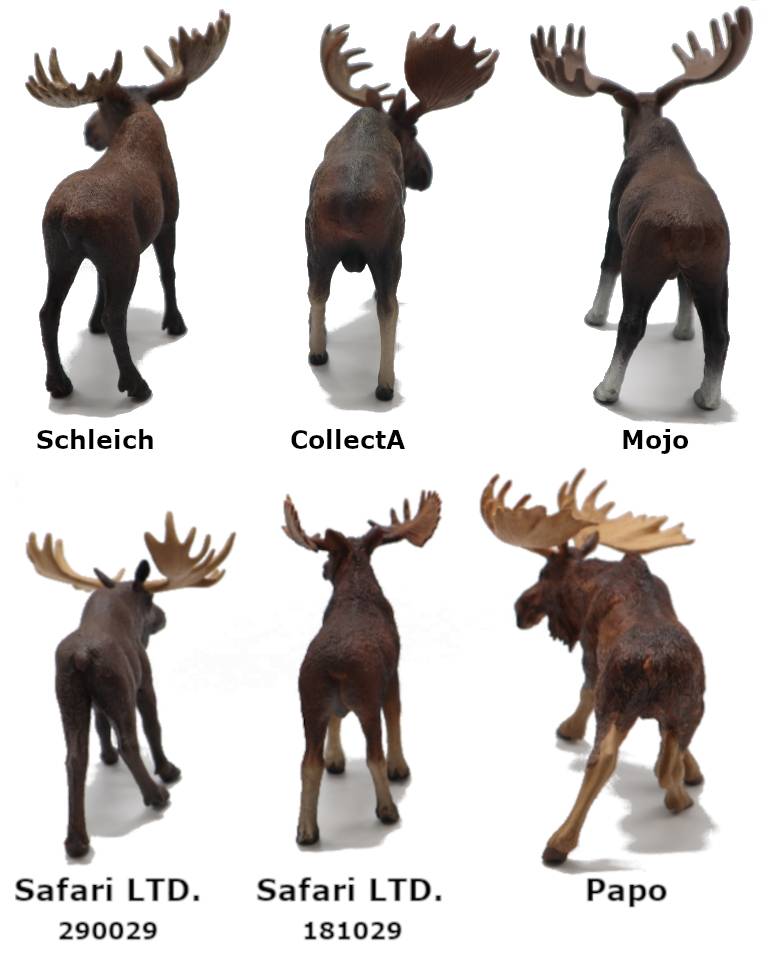 2023 Moose Bull  Toy Buying Guide Backs Picture