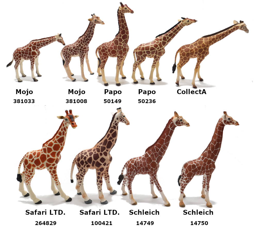 2023 Giraffe Toy Comparison Picture Bottoms