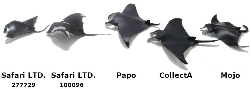 2023 Manta Ray Toy Buying Guide Right Side Picture