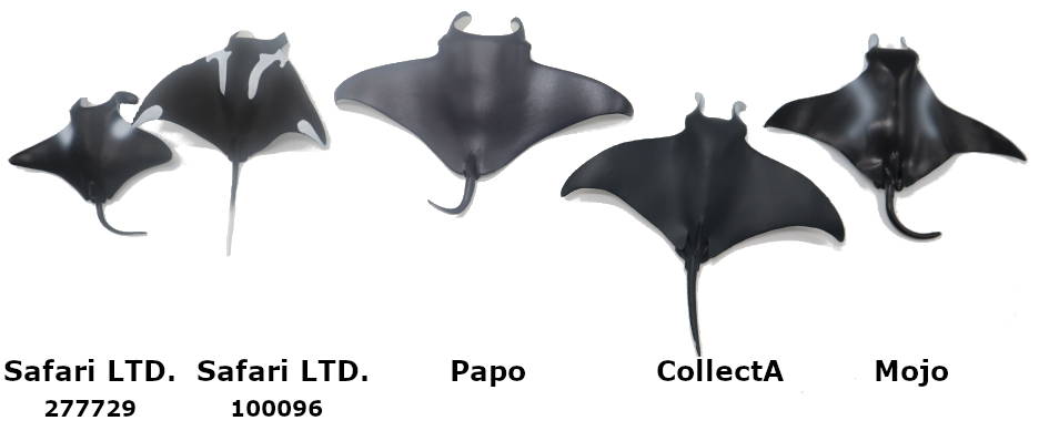 2023 Manta Ray Toy Buying Guide Top View