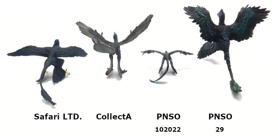 2023 Microraptor Toy Buying Guide Top Picture - Backs