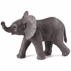 Mojo African Elephant Calf #387002