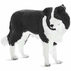  Mojo Border Collie Dog #387203