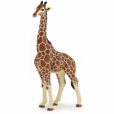 Papo Giraffe Male #50149