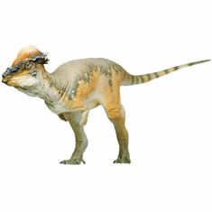  PNSO Austin the Pachycephalosaurus