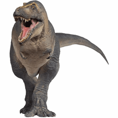 PNSO Chuanzi The Tarbosaurus #51