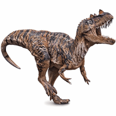 PNSO Ceratosaurus – Nick