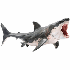 PNSO Megalodon #15