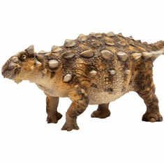 PNSO Sede the Ankylosaurus #13