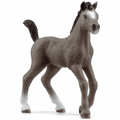 Chevaux Schleich 2023, Club hippique 2023