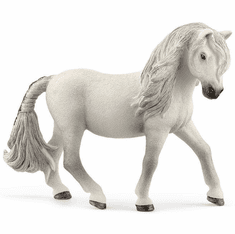 Iceland Pony Mare #13942