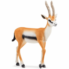 Thompson Gazelle #14861