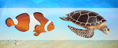 All Sea Life