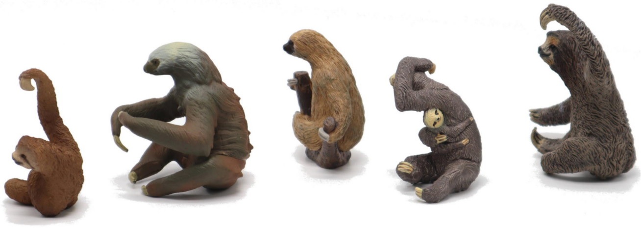 2023 Sloth  Toy Buying Guide Group Picture