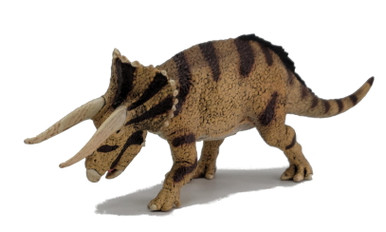 collecta-triceratops-horridus-