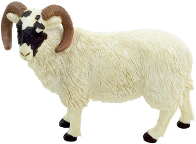 Mojo Black Faced Ram #387081-Curled horns, ready to butt head