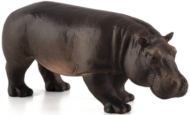 Mojo Wildlife - Hippopotamus Cow #387104 - Enormous Head
