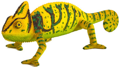 mojo-387129-chameleon-
