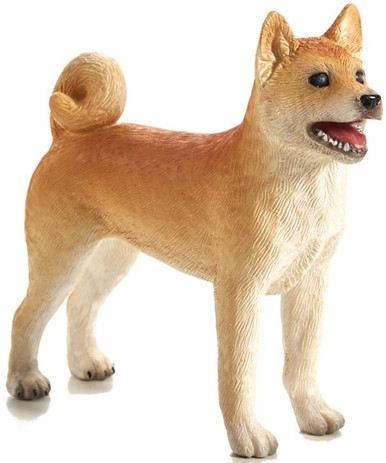 shibaさん Mojo Shiba Inu #387140 - Smallest and Oldest Japanese Dog
