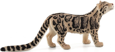 シム・シメール、【THE LITTLE CLOUDED LEOPARD】