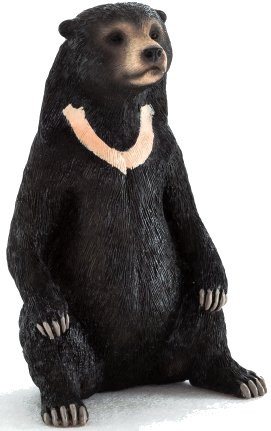 Mojo Sun Bear #387173 - Spends Most of their Life in Trees