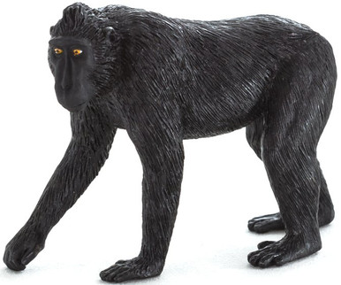 Mojo Black Crested Macaque #387182 - Dark Black Coloring