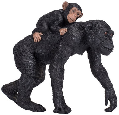 mojo-387264-chimpanzee-with-