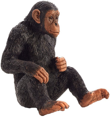 Mojo Chimpanzee #387265 - Sitting Pose, Good Coloring