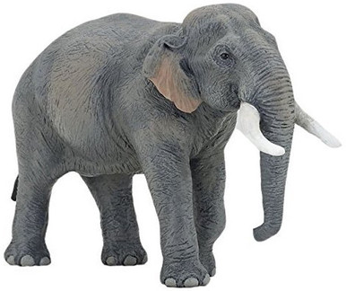 Papo Asian Elephant #50131 - Indicative Twin Dome Head