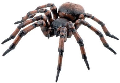 papo-50292-common-spider-manf-