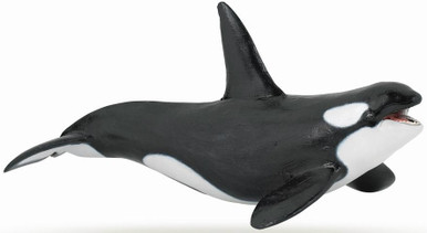 orca 他の方はご購入出来ません Papo Sea Life - Papo Killer Whale #56000 - Fearsome Orca