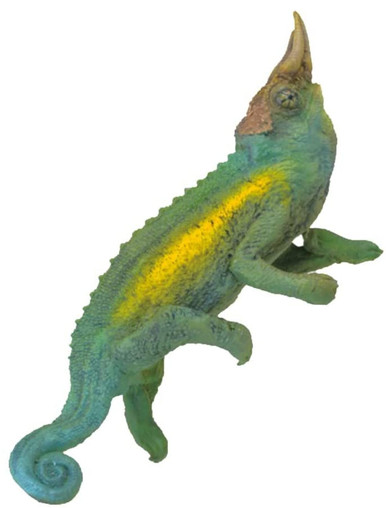 Cloud 9 Chameleons | Older brother to the one we just listed