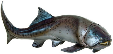pnso-zaha-the-dunkleosteus-