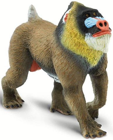 Mandrill ‎– 2枚 safari-ltd-100273-mandrill-